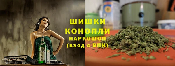 индика Нефтегорск