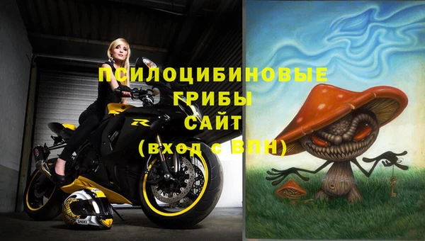 трава Надым