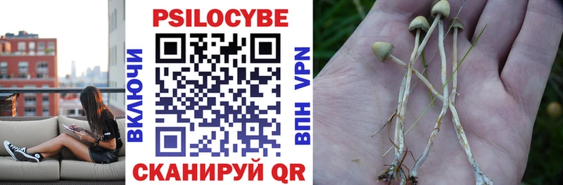 Галлюциногенные грибы ЛСД  Мамадыш 